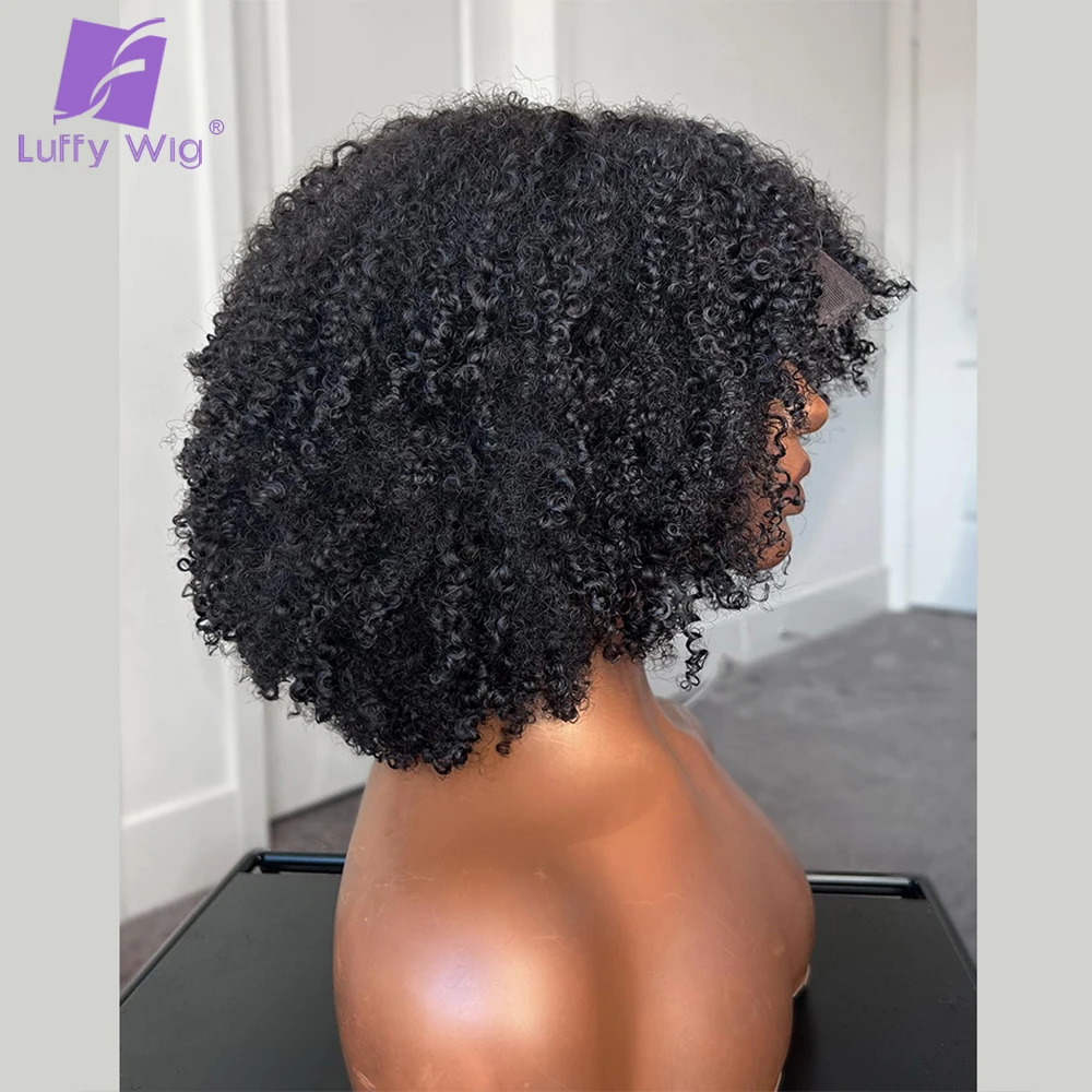 200Density Kinky Human Hair 13x6 Lace Front Wig Pre Plucked With Baby Hair Natural Hairline Lace Frontal Wigs For Women