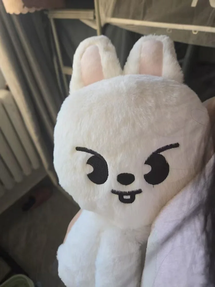 

Kpop Skzoo plush toy Seoul idol jumpsuit Kawaii cartoon plush animal doll adult fan gift wolfchan jiniret leebit Felix BangChan