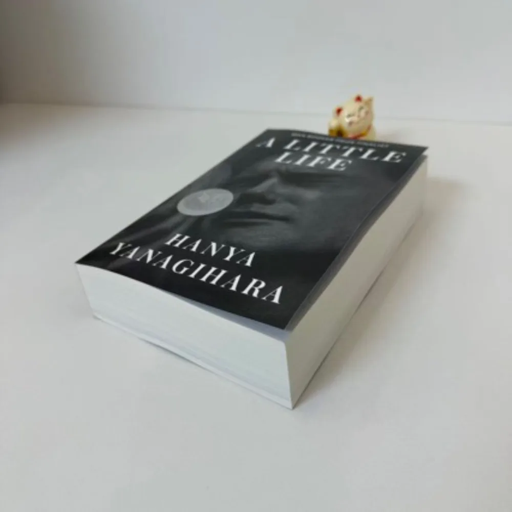 

A Little Life By Hanya Yanagihara Novel of Friendship Trauma & Survival Epic Literary Fiction Booker Prize Finalist