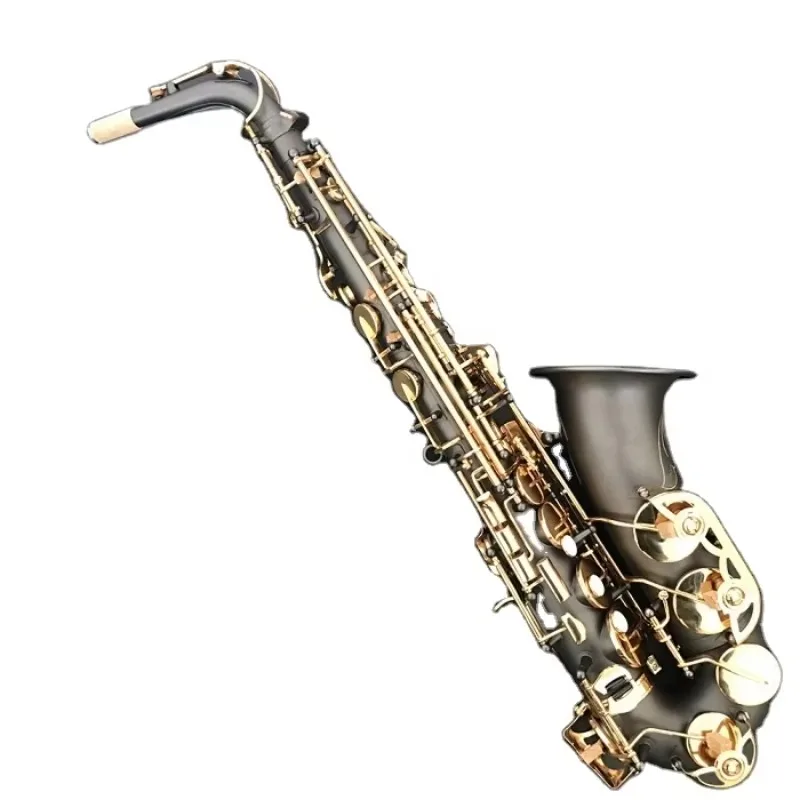 Alto Saxophone Famous Brand Model