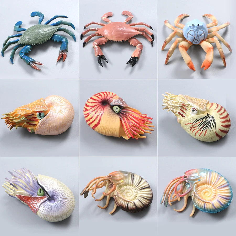 Simulation Action&Toys Figure Ocean Marine World  Sea Animal Crab,Nautilus,Turtle Tortoise PVC Figurine Collection Toy For Kids