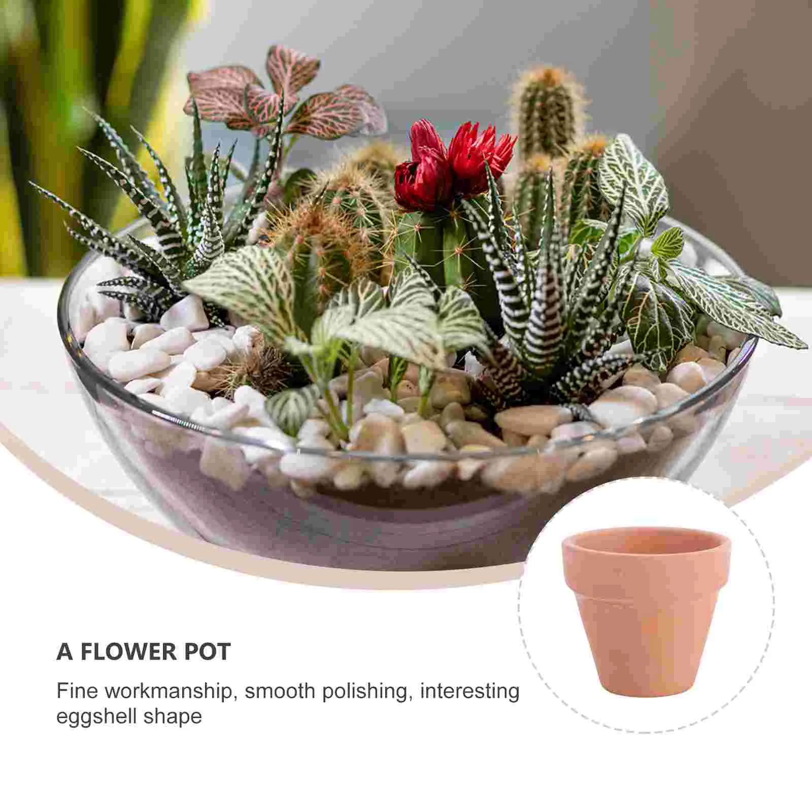 10 Pcs Small Plant Pots Terracotta Flower Succulent Plants Wedding Decor Ceramics Vase Mini