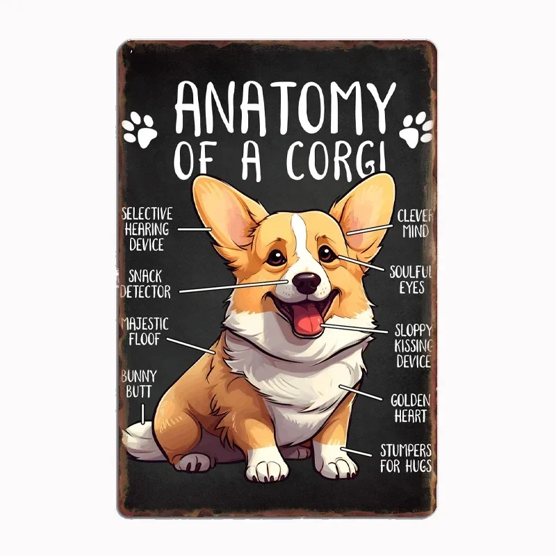 

Anatomy of a Corgi Dog Metal Poster Club Home Decorations Bar Cave Classic Plaques Tin Sign Posters Room Wall Decor