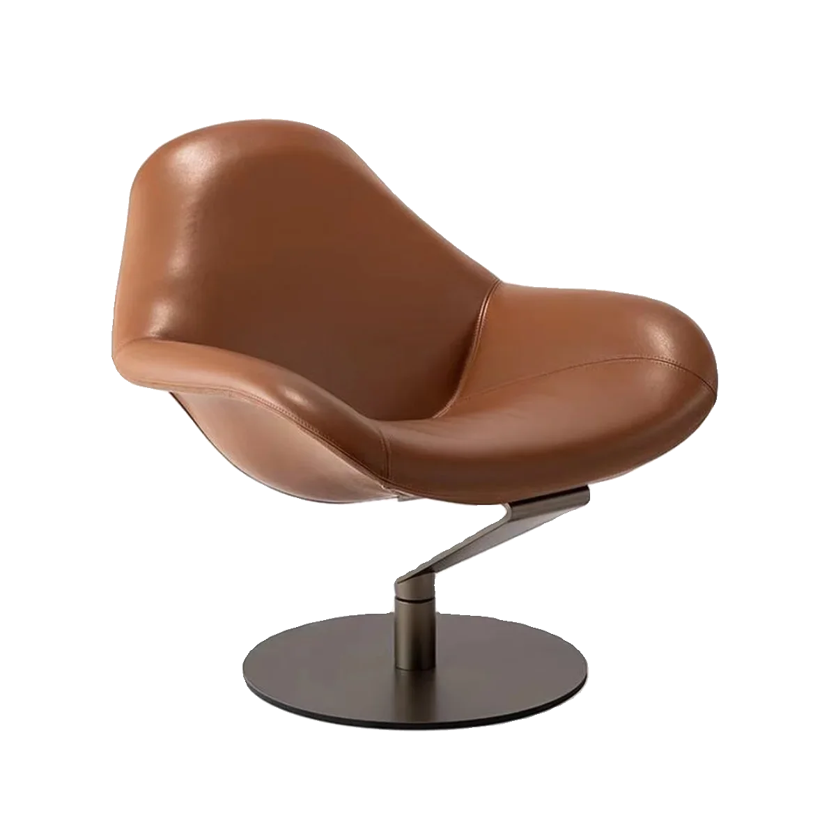 

Special-Shaped FRP Rotatable Backrest Armchair