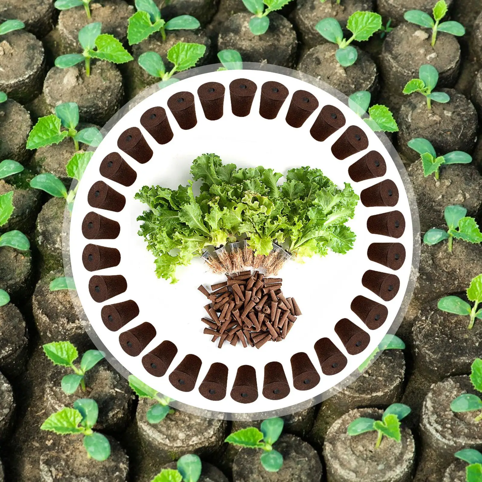 استبدال إسفنجة نمو الجذر، كبسولات زراعة عامة لأنظمة الزراعة المائية، مجموعات إنبات البذور