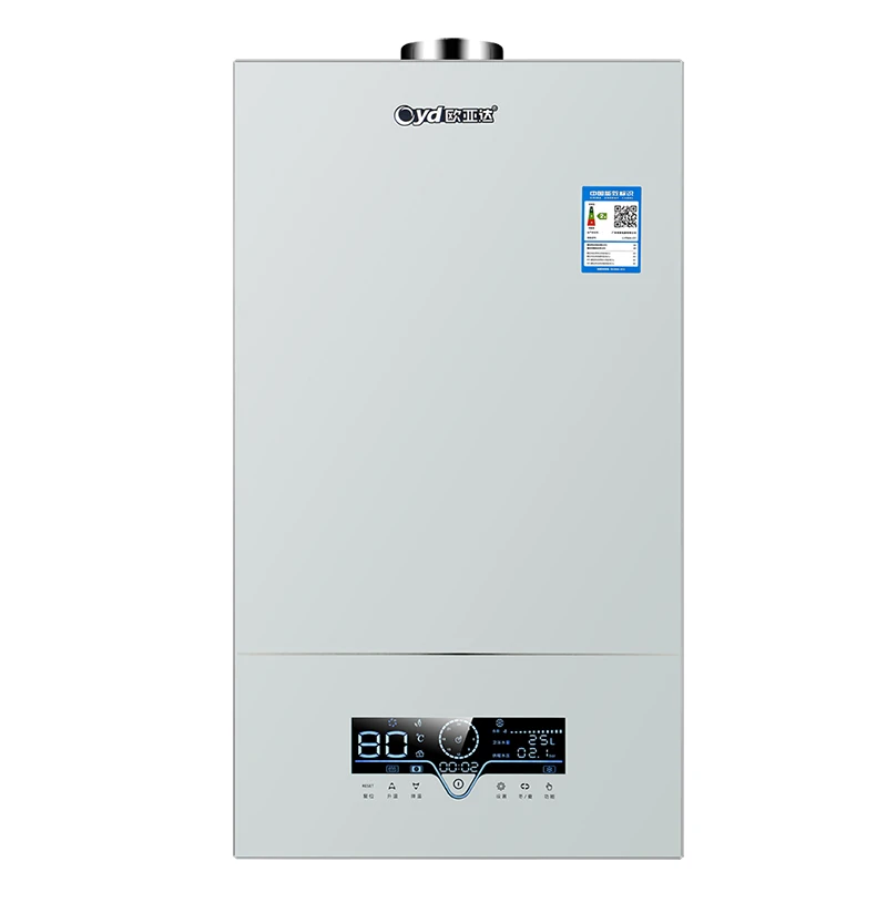 卸売 温水ノイズ低減 20kw 床暖房 コンビボイラー ガスヒーター ボイラー セントラルヒーティング 家庭用壁掛けガスボイラー