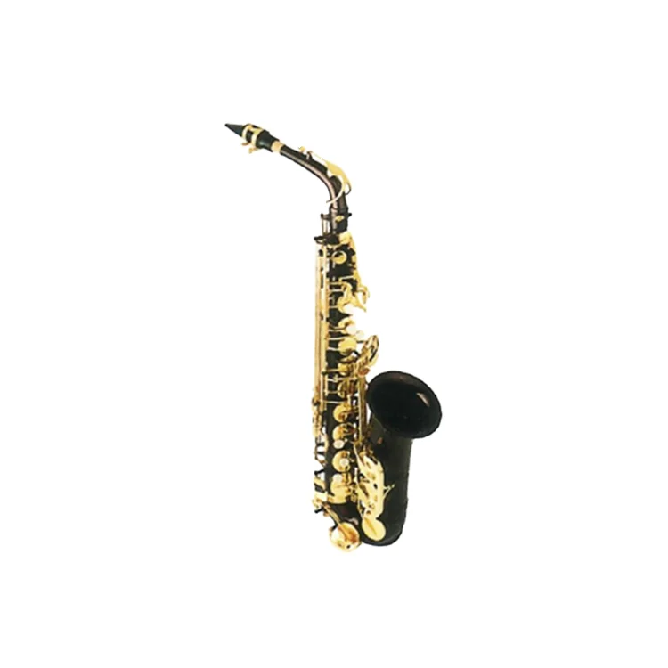 

2025 Chinese Black Alto Saxophone With Brass Head Bb And Eb Tone Wind Instrument