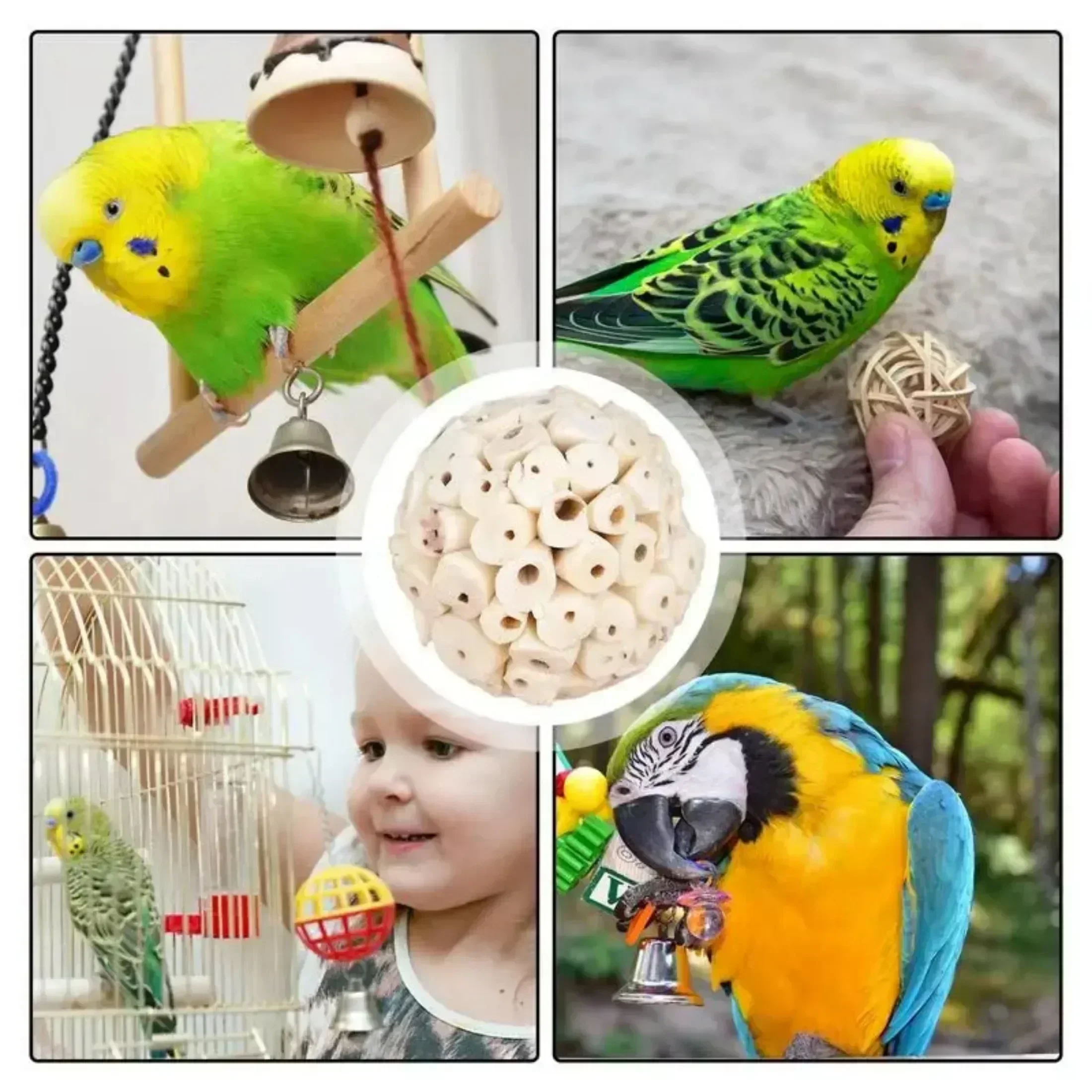 Zabawka do żucia dla papug Piłka do żucia Żerowanie Klatka dla ptaków Akcesoria dla papużek Papuga Lovebird Budgies Conure Cockatiel