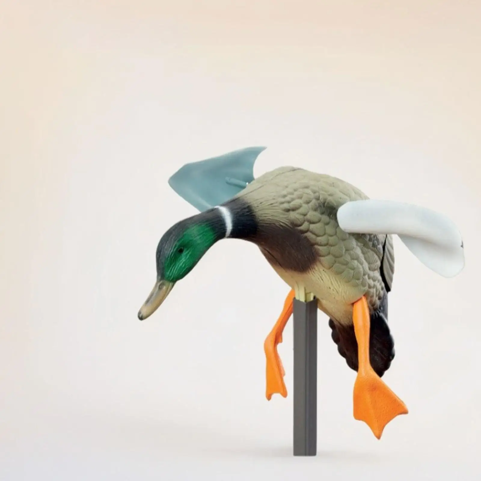 

Mallard Ducks Models Motion Wind Rotation for Hunting Fly Ducks Mallard Decoy