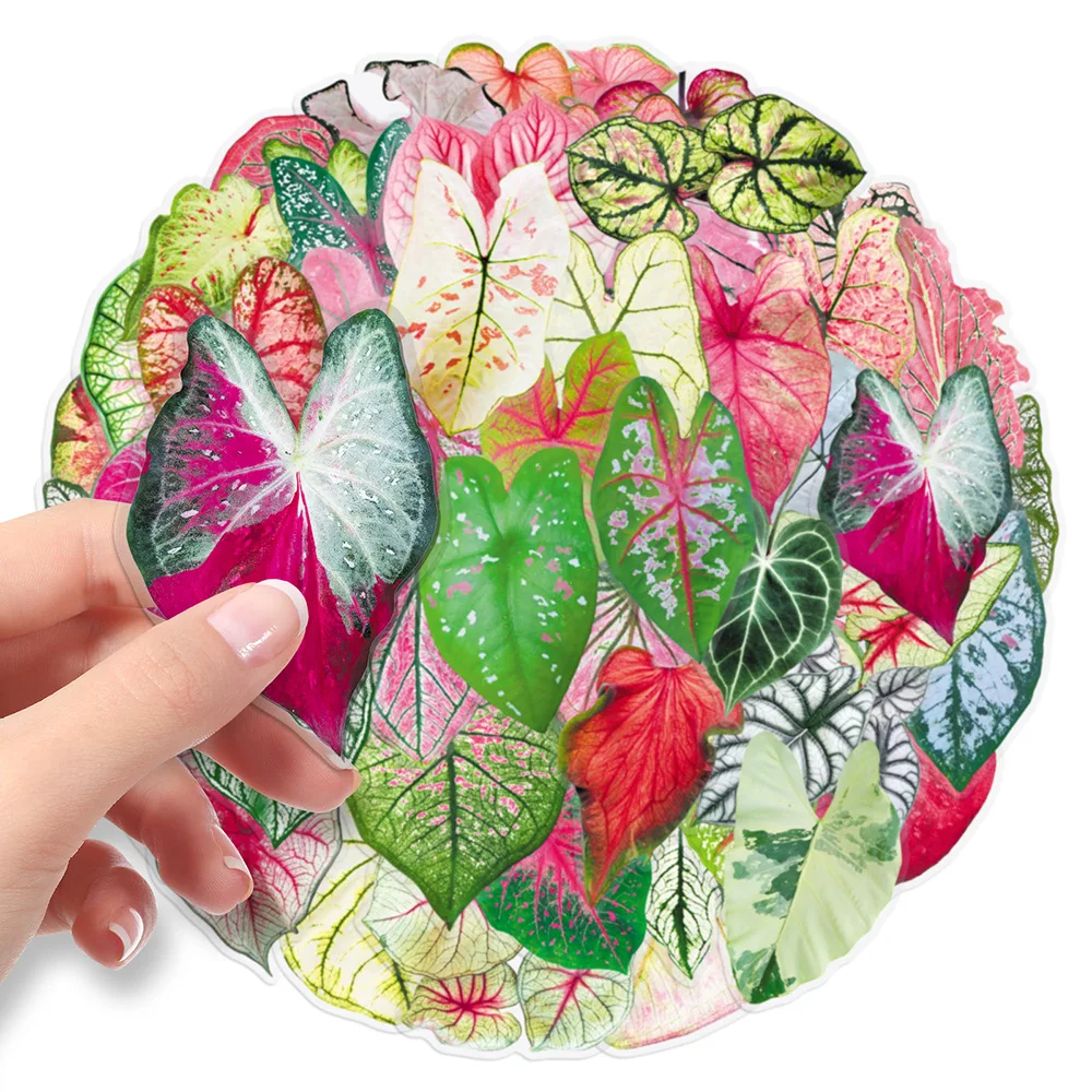 50 Stück Cartoon Caladium Graffiti Aufkleber Farbige Pflanzen PET-Sticker DIY Notizbuch Handy Gitarre Scrapbook Kühlschrank Klassisches Kinderspielzeug