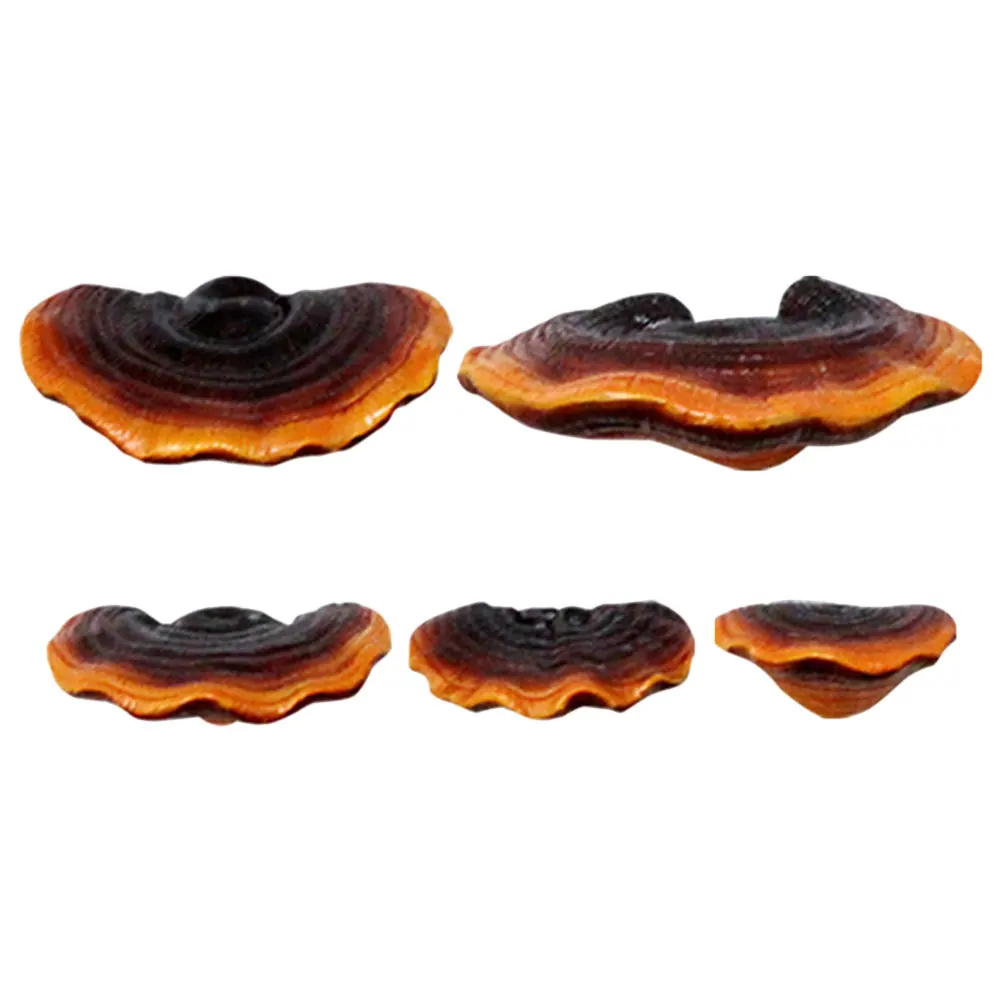 

5pcs Mushroom Statue Garden Decor Micro Landscape Decoration Glow in Landscape Decoration Figurine Dark Yard Art