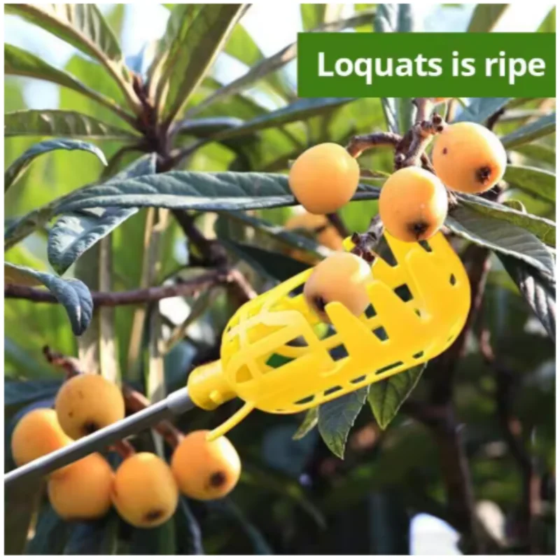 

Deep Basket Fruit Picker Head Convenient Farm Orchard Picking Tool for Waxberries Loquats