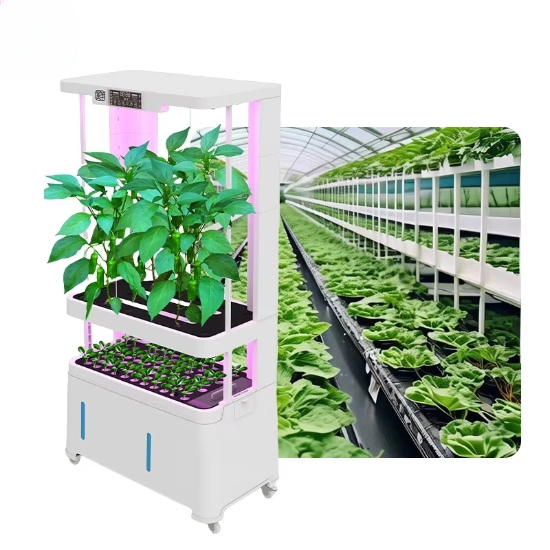 

Vegetable Growth Box With LED Light And Water Temperature Control For Indoor Hydroponic Farming Of Herbs