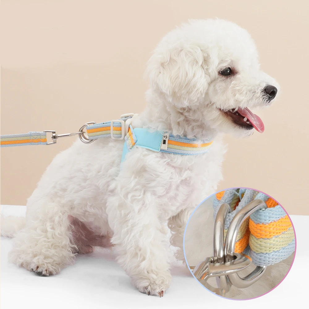 Thumbnail 4 - #38 Latest Puppy Harnesses Updates