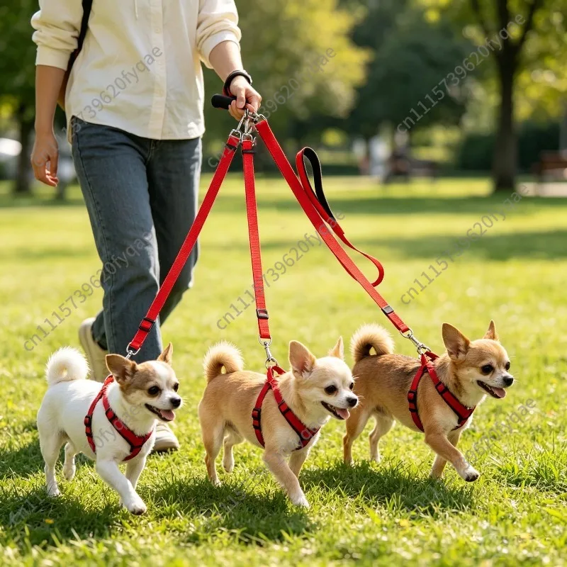 Pet-gardening, Detachable and Adjustable Leash, One-to-three Leash,  Walking Dog P-leash