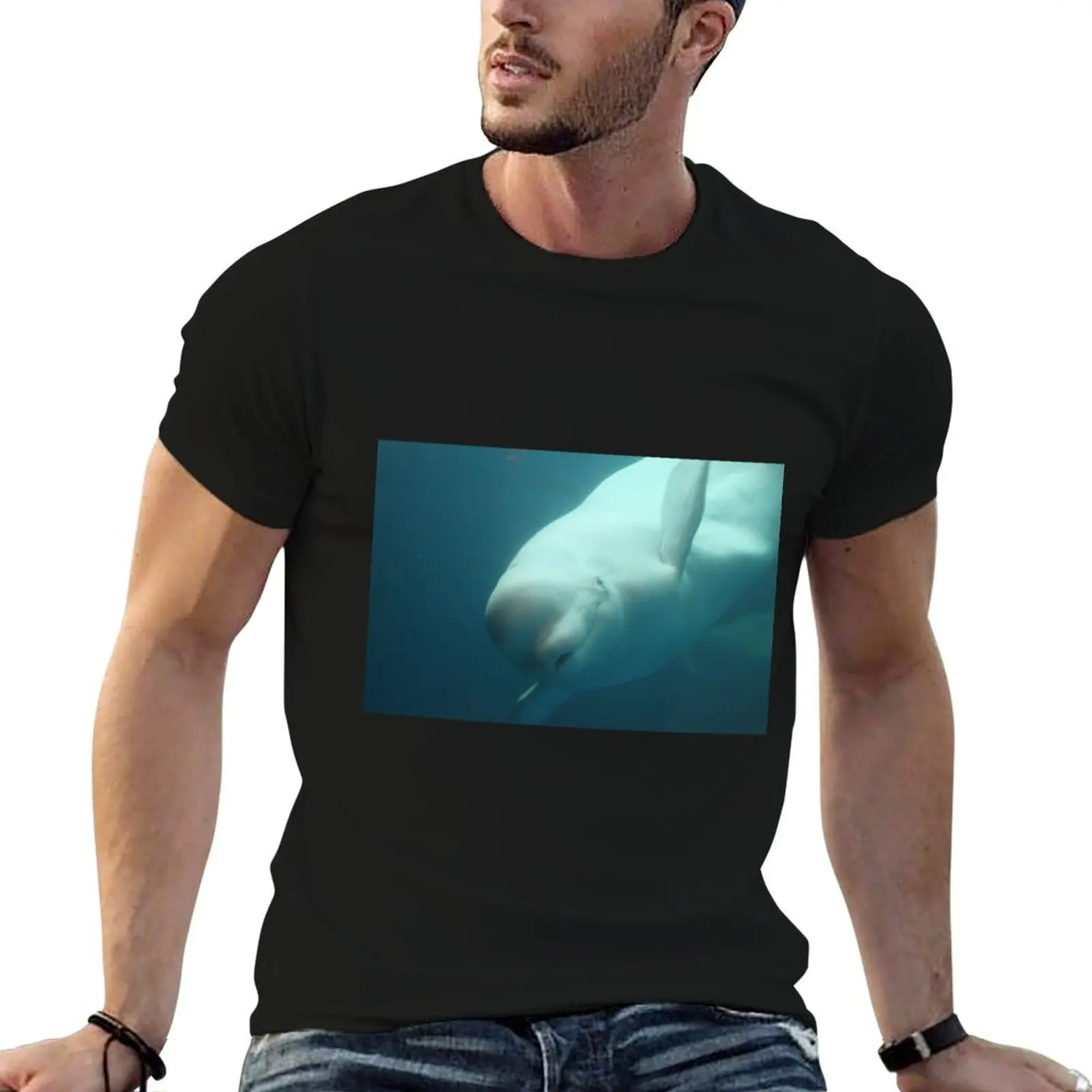 

Baluga Whale T-Shirt cotton t shirts high quality man t shirt graphic anime t shirts oversize T-Shirt