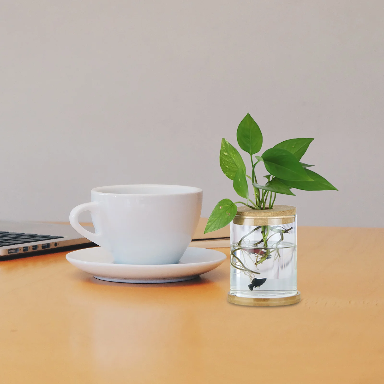 

4Pcs Micro Landscape Hydroponic Vase Wood Lid Hole Cover Glass Planter Lid Ventilation Office Bookshelf Decor Vase Cover