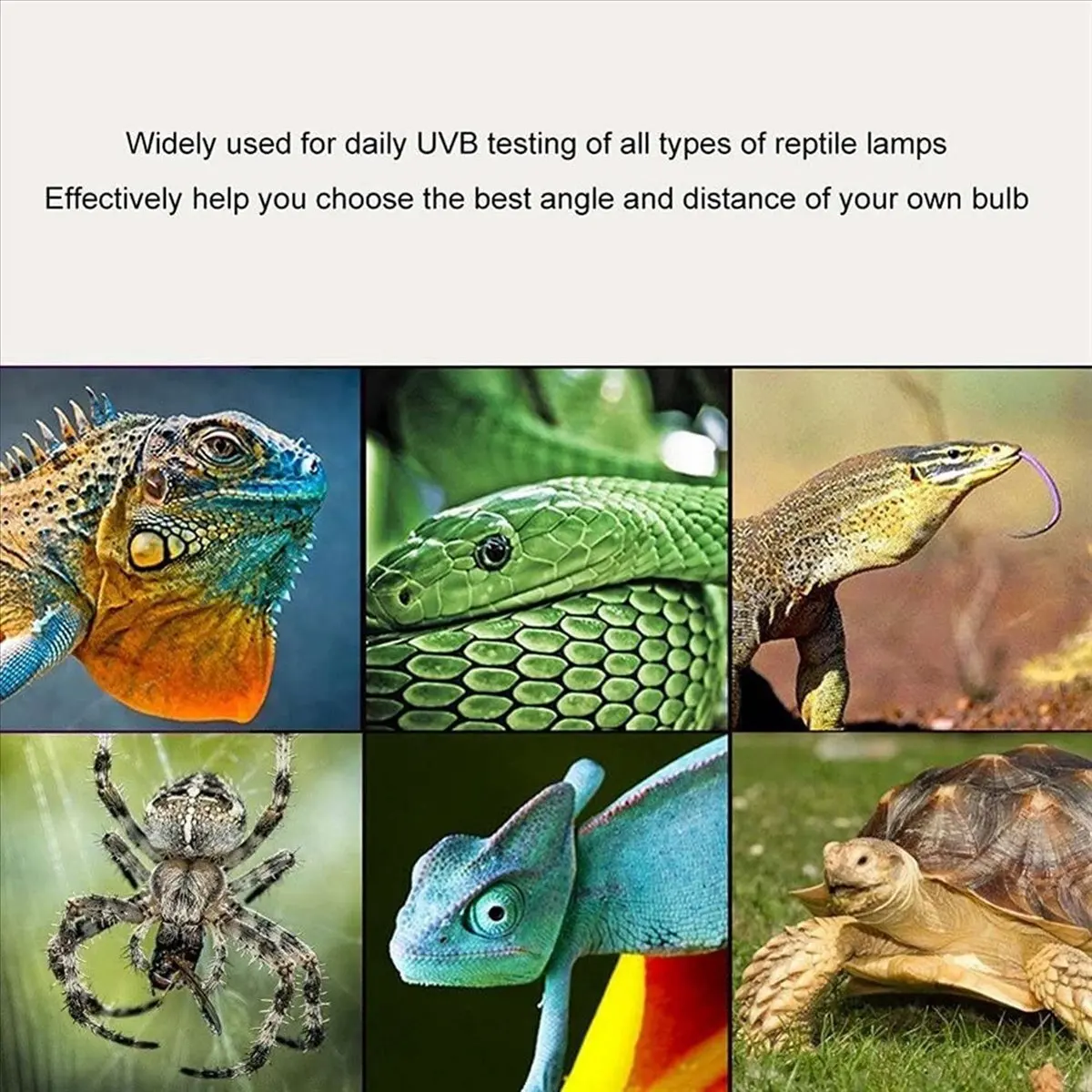 testeur-uvb-didinew-detecteur-uvb-haute-precision-instrument-de-test-uvb-pour-reptiles