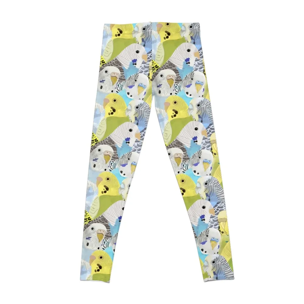 Budgie Parakeets Leggings push up legging workout shorts Womens Leggings