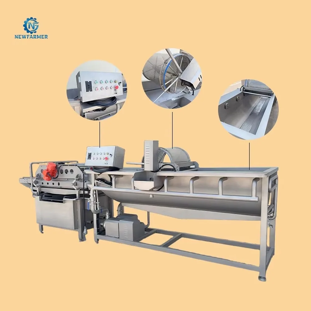 Industrial Fruit Vegetable Washing Drying Line Efficient Carrot Cleaning Dewatering Machine for Food Processing Factory