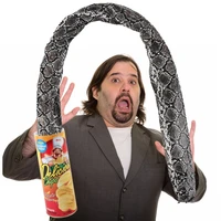 The Potato Chip Snake Can Jump Stage Magic Tricks Spring Snake Toy April Fool Day Halloween Party Jokes in A Can Gag Gift Prank 2