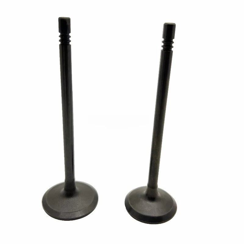 pieces-de-moteur-mecanique-soupapes-d'admission-et-d'echappement-du-moteur-c66-339-9637-309-6678-soupapes-de-moteur-3399637-3096678