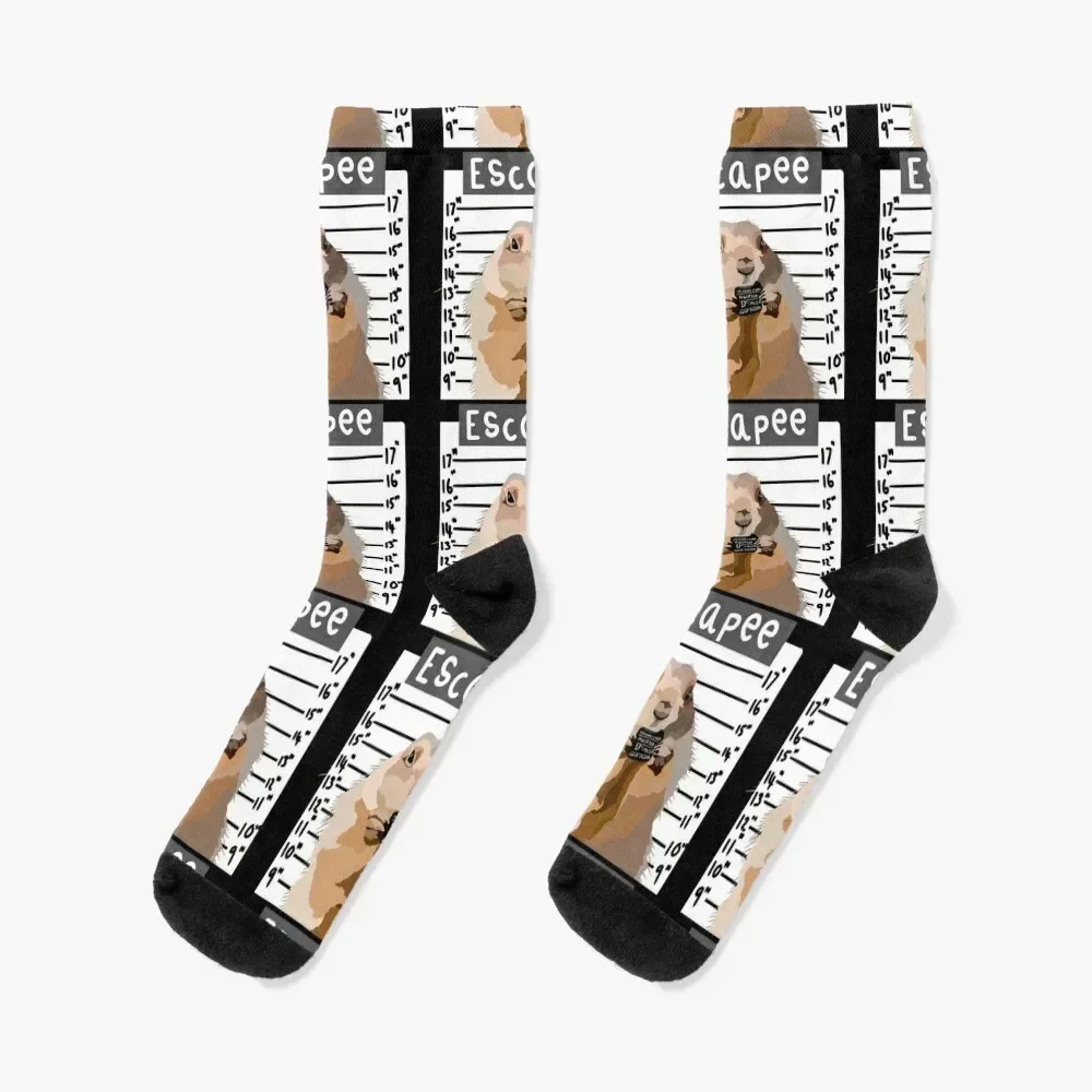 Prarie Dog Mug Shot Socks hockey Non-slip funny gift halloween Socks For Women Men's