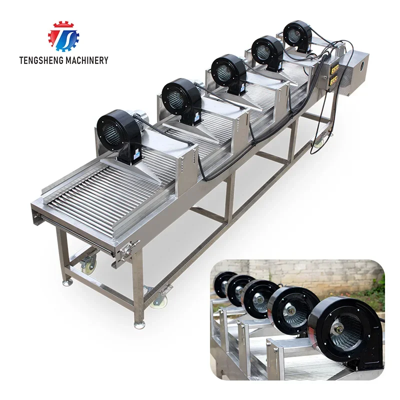 Automatic Fruit Dryer Food Processing Vegetable Parallel Drying Machine  (TS-PX35)