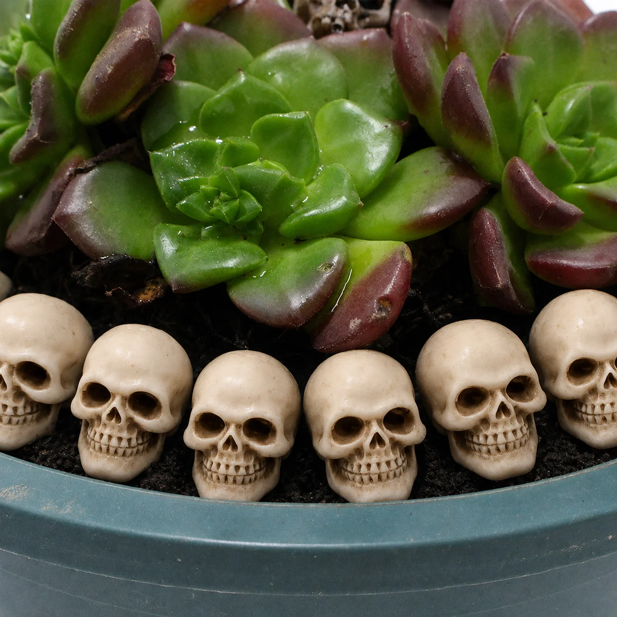 5-50 Stück Mini-Halloween-Schädel-Ornamente, winzige Skelettköpfe, Miniaturmodell für Spukhaus-Party, Horror-Szenen-Dekoration, DIY-Puppenhaus – Detail 8