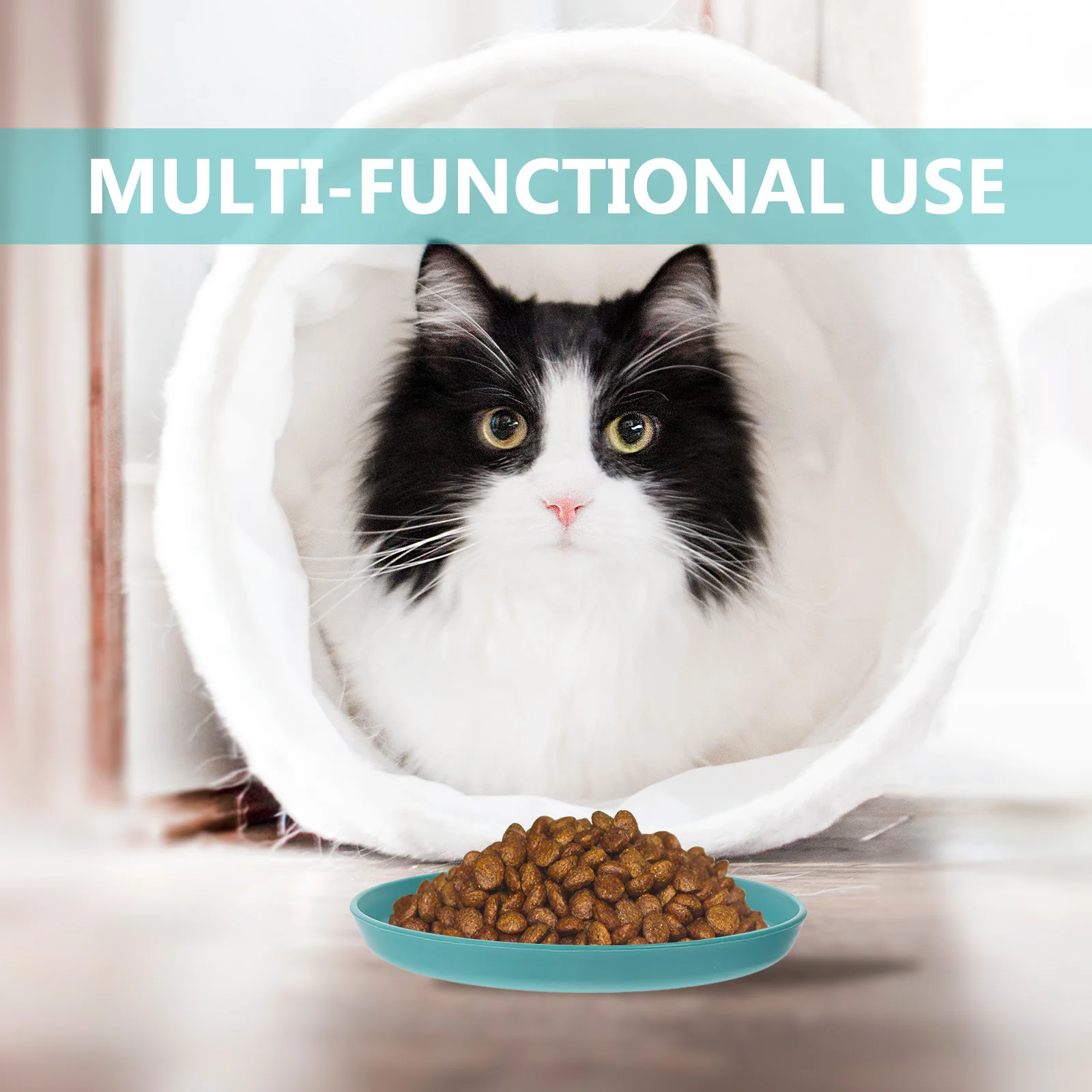 

4Pcs Cat Bowls Round Flat Bottom Shallow Pet Dishes Practical for Daily Use Cat Bowl Flat Pet Bowls Puppy Feeder