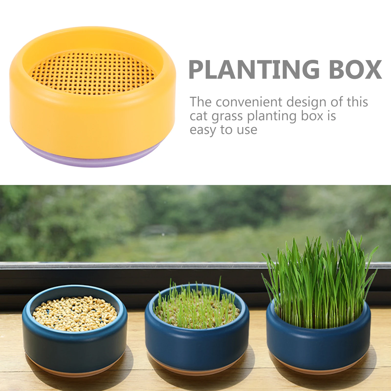 

Cat Grass Planting Box Soilless Culture Container Hydroponic Catnip Household Planter for Indoor
