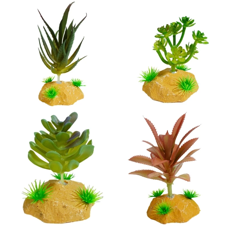 عشب نبات الزواحف للعصارة فرع ديكورات الموئل بأوراق السحالي والعناكب الأفعى ابن حزم رحمه الله مخابئ A2BB