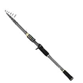 CASTING ROD