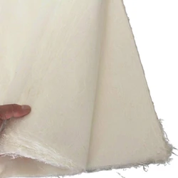 Chinese Half Ripe Rice Paper See-through Yunlong Fiber Xuan Paper Brush Pen Calligraphy Painting Creation Papier Mulberry Paper
