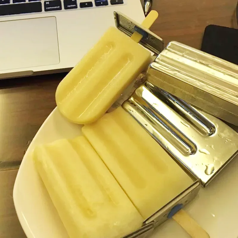 Stainless Steel Ice Cream Mold Popsicle Mold DIY Frozen Treat Maker Reusable Silicone Freezer Tray for Home