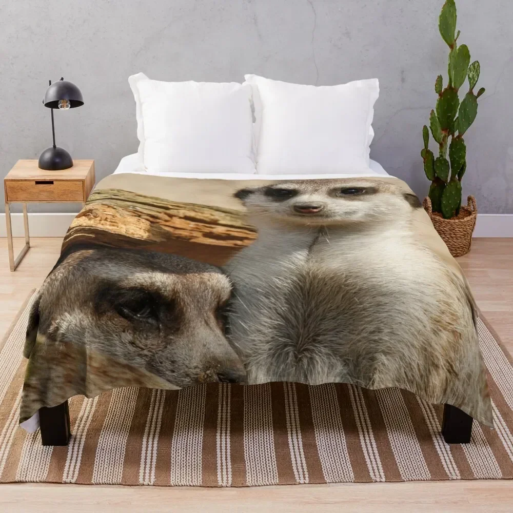 

Meerkat 042 Throw Blanket For Sofa Thin decorative Blankets