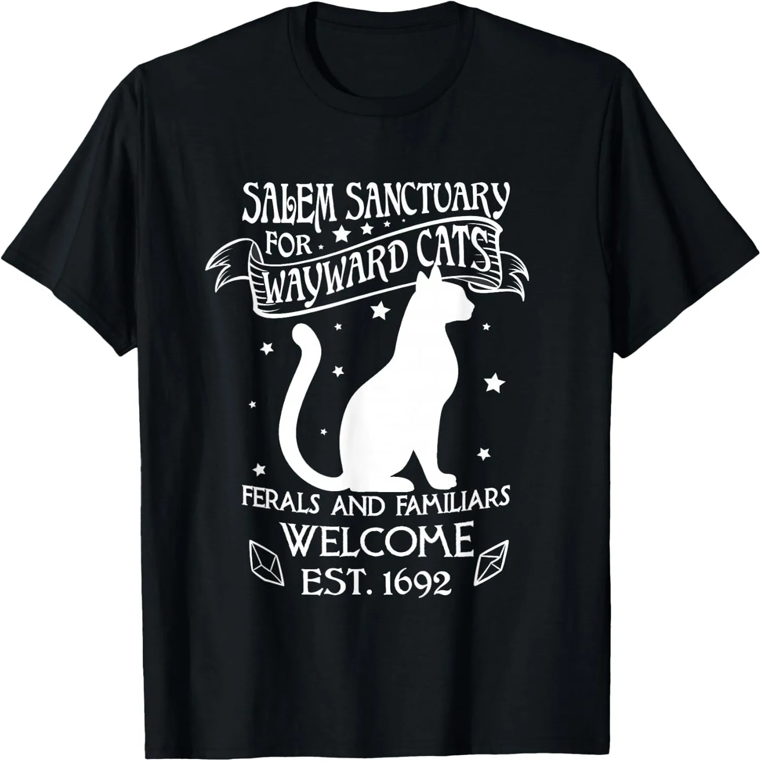 Witch Salem Sanctuary for Wayward Black Cats 1692 Gift Idea T-Shirt Y2K aesthetic, Concert tee