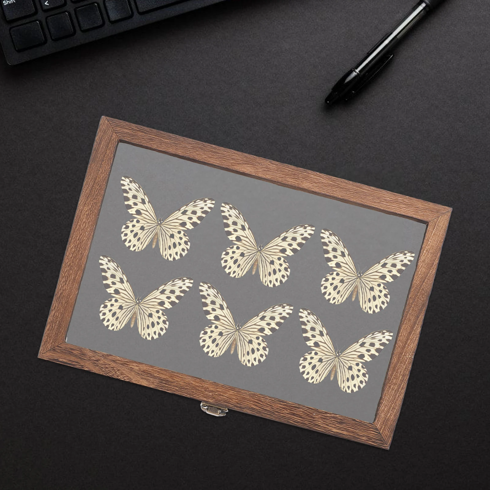 

1 set 1 Set Vintage Style Specimen Display Case Wooden Box Storage Container Waterproof Strong Natural Wood Grain Large