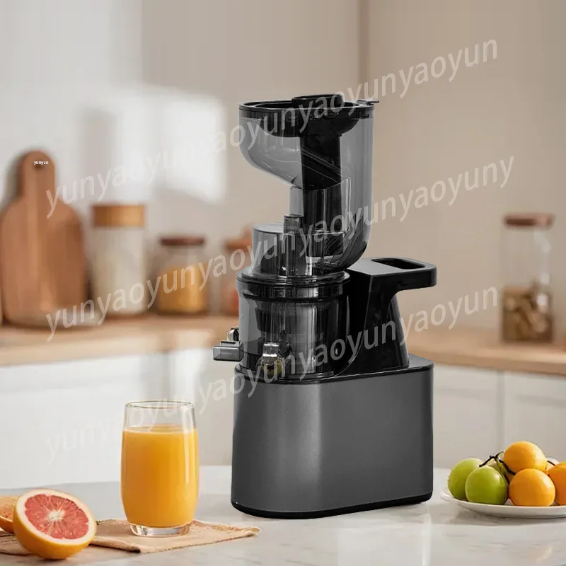 Small Slow Juicer Pomace Juice Separation Fruit Vegetable Juice Maker for Household Daily Use