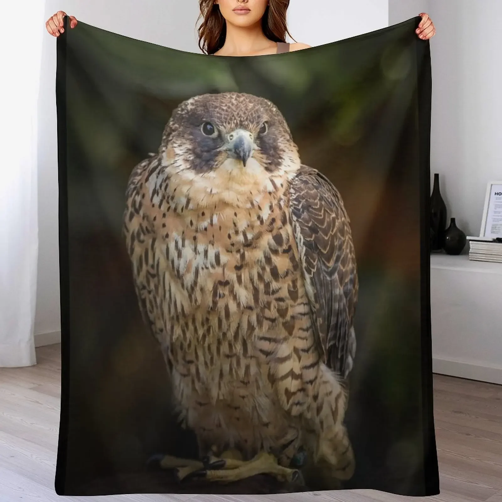 

Peregrine Falcon Bird of Prey Portrait Throw Blanket Soft manga Quilt Sofa Throw Blankets