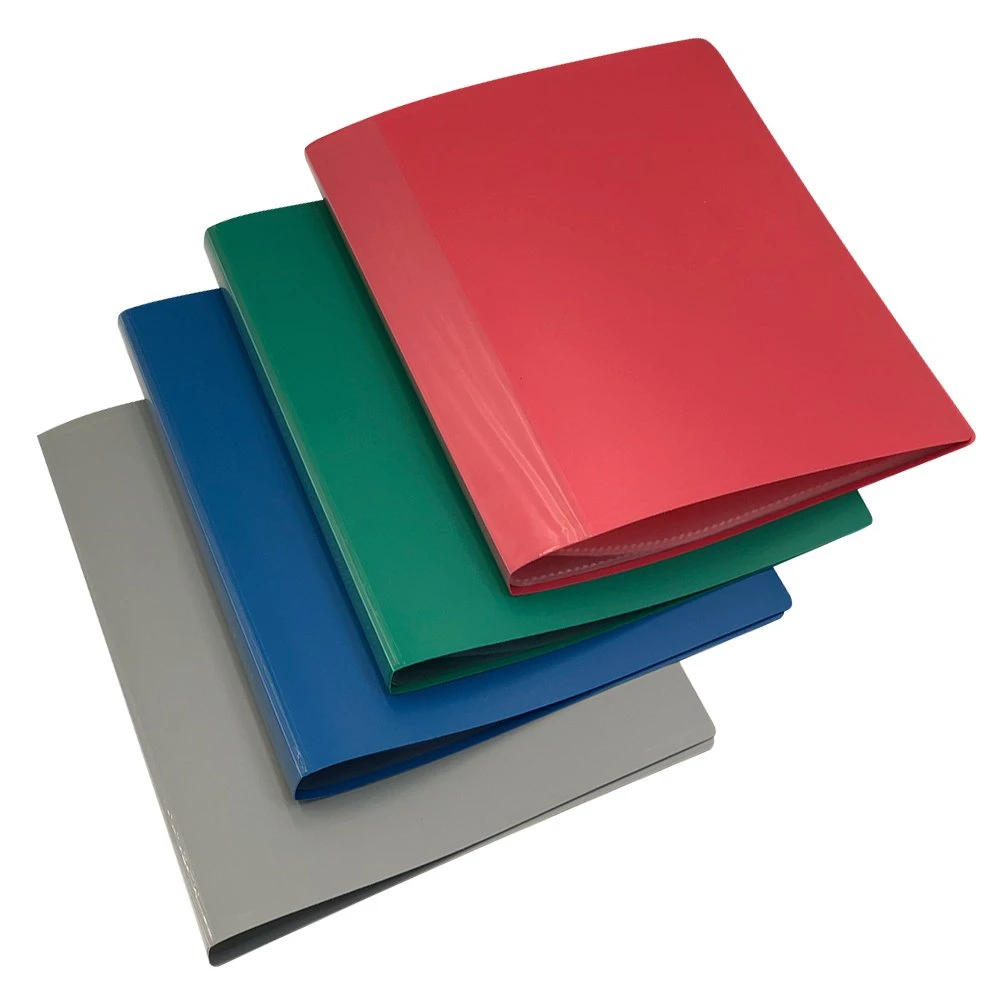 Catalog Folder 20 Divisions A4 Assorted Colors