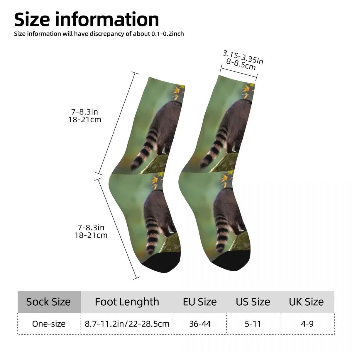 Raccoon Sock Printed Man Polyester