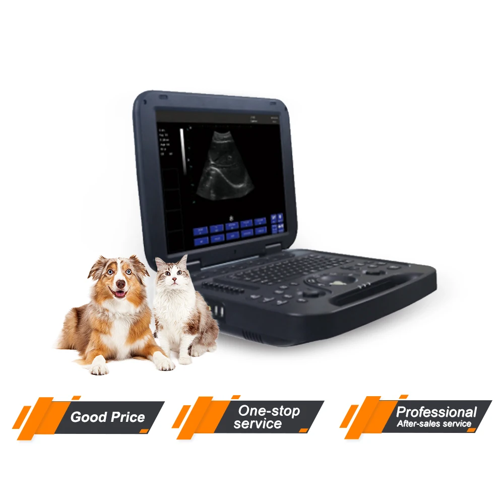 Electric Medical Ultrasound Instruments echocardiography ecografo veterinary portability ultrasonido portable ultrasound machine