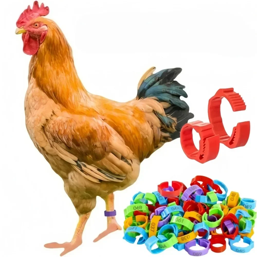 50pcs Numbered Poultry Chicken Leg Bands Plastic Adjustable Foot Label Rings for Home Farm Chicks Goose Identification Clip-on
