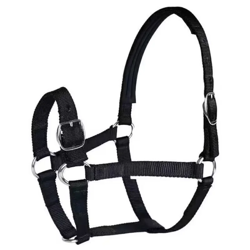 Proteção acolchoada cavalo Halter, ajustável Chin e garganta Snap, equipamento de equitação, vários tamanhos, corda durável