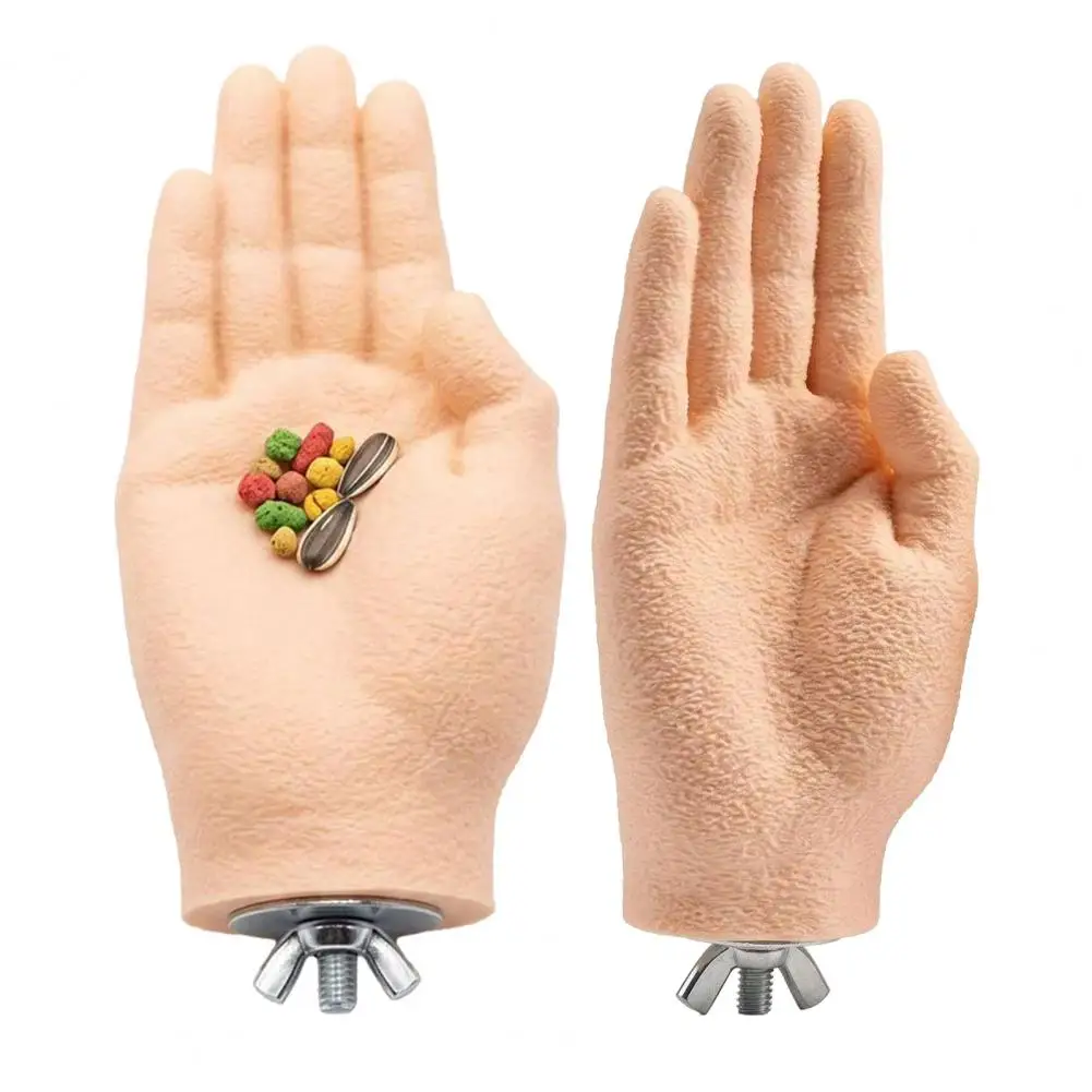 Bird Feeding Station Parrot Training Perch Parrot Training Fake Hand Perch Toy Simulated Hand Bird Taming Stand Safe Anti-bite