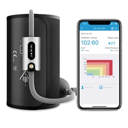 Wellue BP1S Blood Pressure Monitor