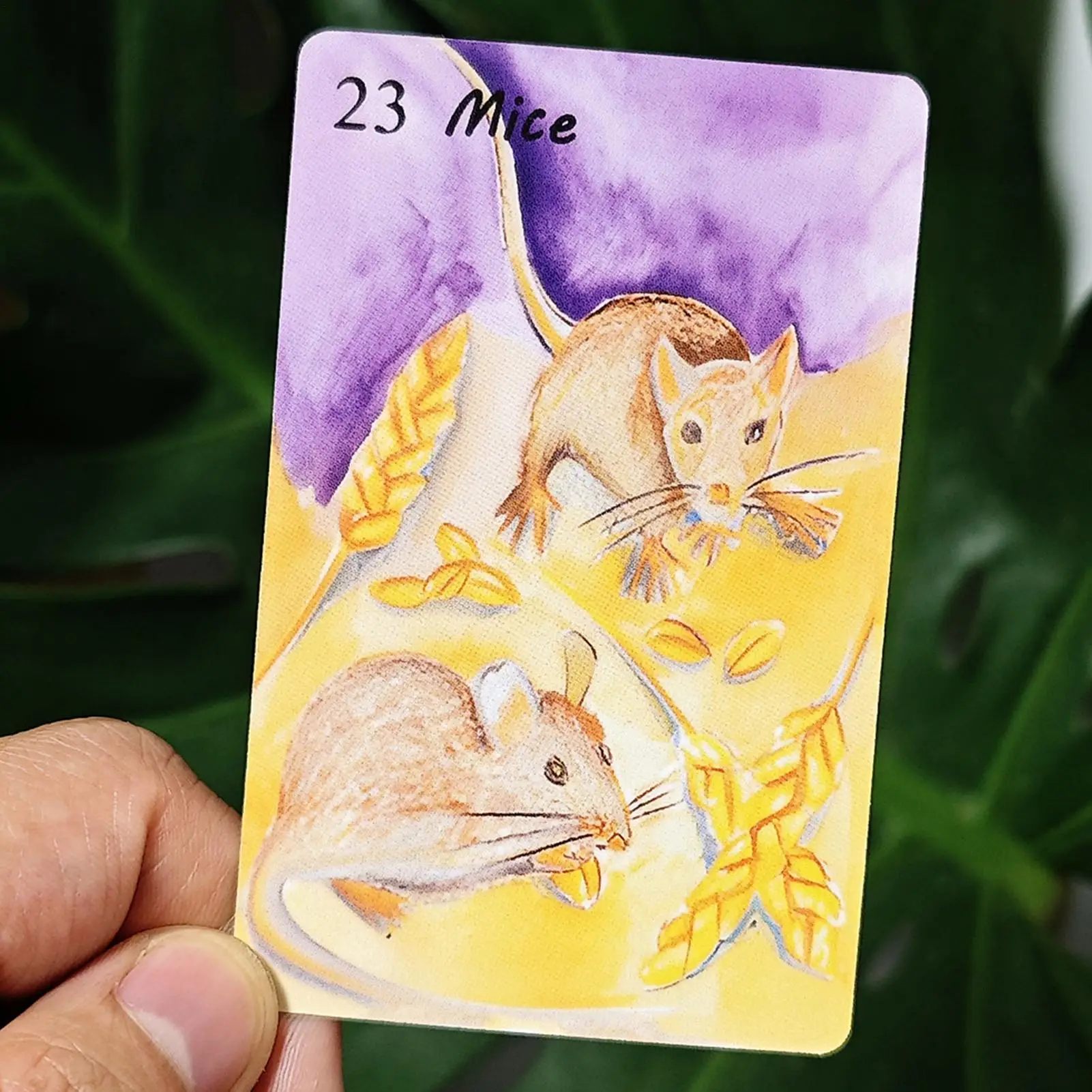 

Карты для начинающих, аксессуары для настольных игр в акварельном стиле, бумажные акварельные карточные игры для подростков, мужчин, женщин, мальчиков, девочек, молодежи, жены