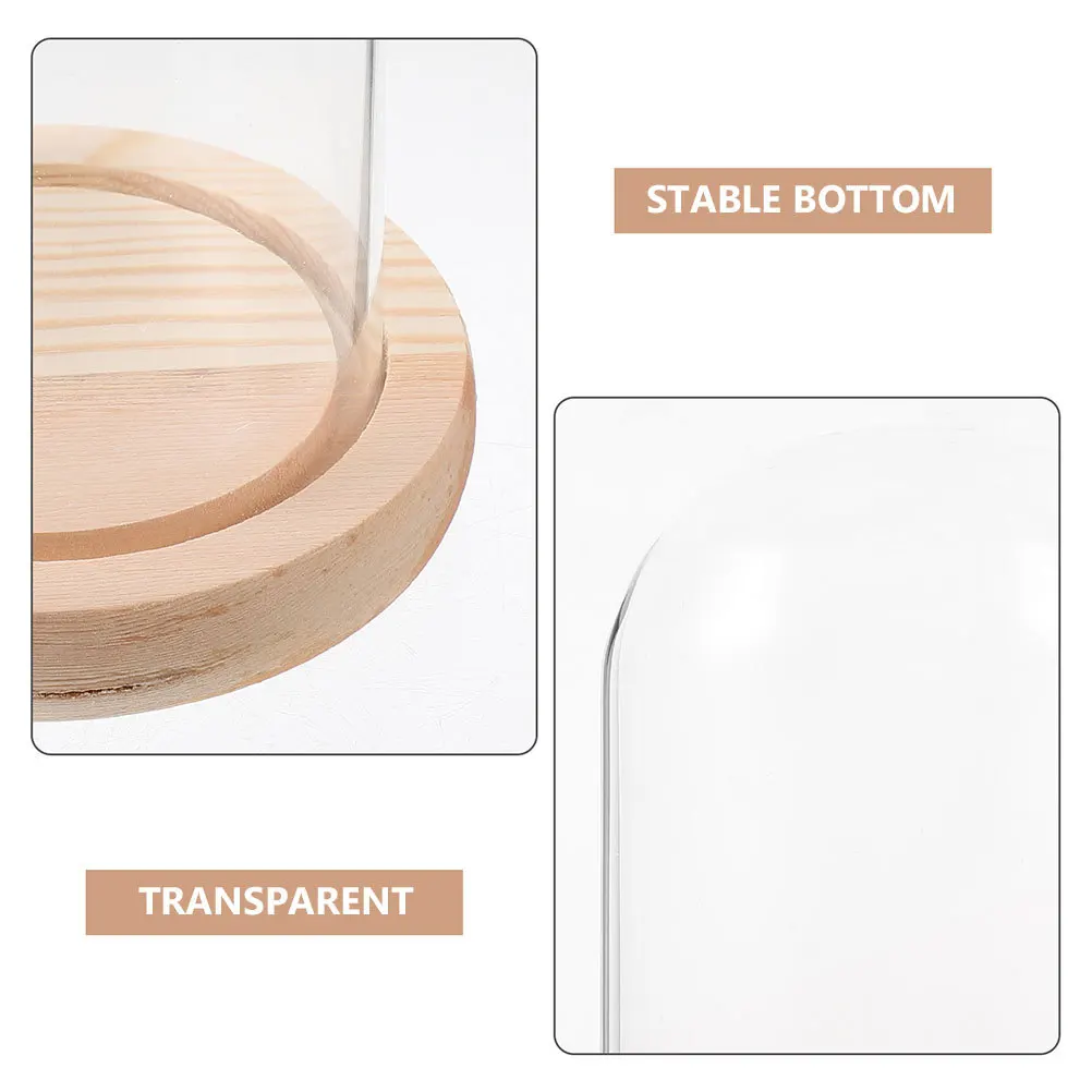 

Glass Display With Wood Base Transparent For Desktop Decor Mini Glass Dome Cloche Display Case For Plants Crafts