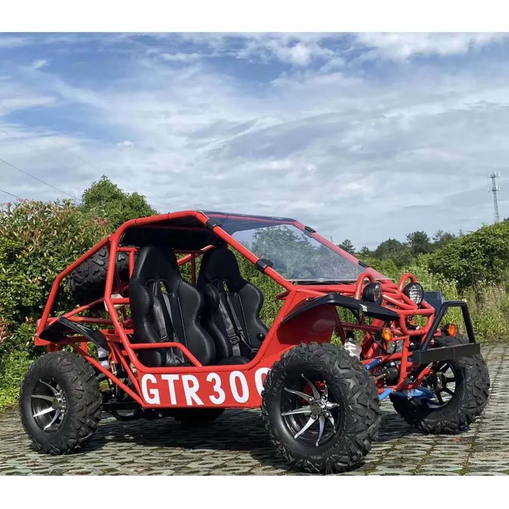 China 2023  350 CC2 seats 4 quad 4x4 beach buggy motorcycle   Mountain off-road vehicles Adult Racing Go Kart